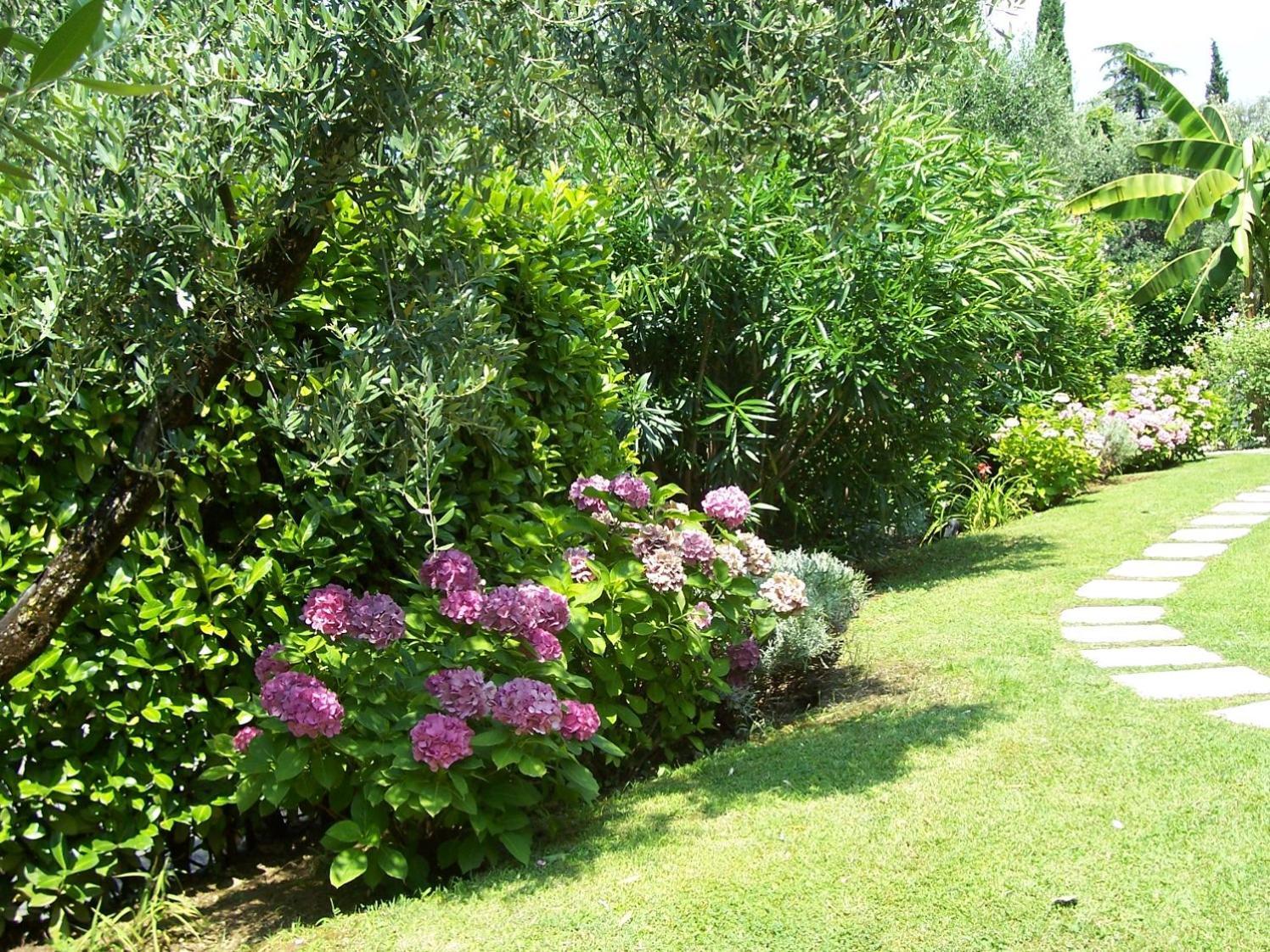 Villa Giada Torri Del Benaco Luaran gambar