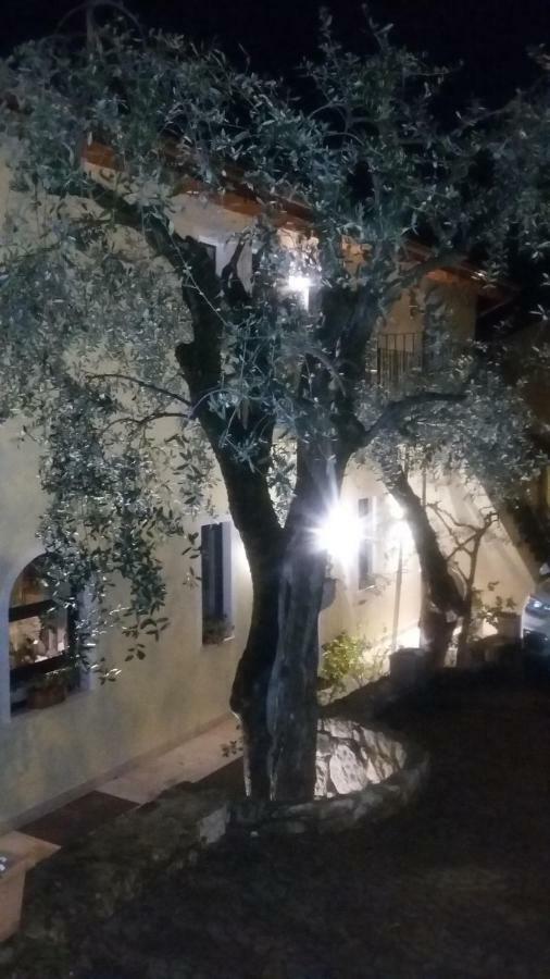 Villa Giada Torri Del Benaco Luaran gambar